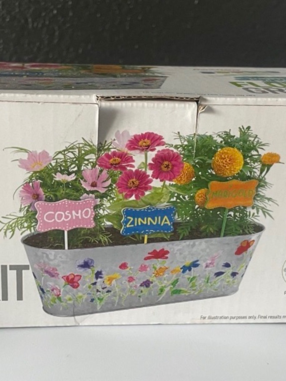Dan & Darci Paint And Plant Flower Growing Kit, New